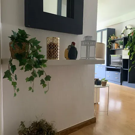 La Ballena De Rayas *