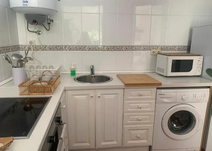 La Ballena De Rayas Tazones